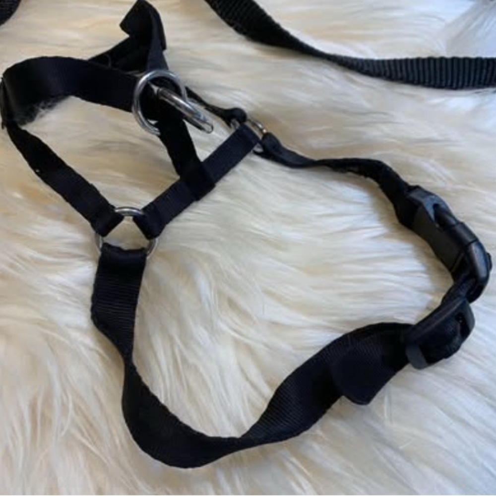 SALE!! Anti pulling head collar